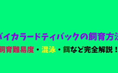 【コツ伝授】バイカラードティバックの飼育方法！紫＆黄の奇跡！