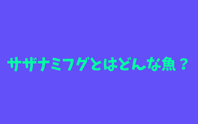 【生態網羅】サザナミフグとはどんな魚？