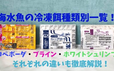 【プロおすすめ】海水魚の冷凍餌種類別一覧！コペポーダ・ブライン・ホワイトシュリンプ！違いも徹底解説！