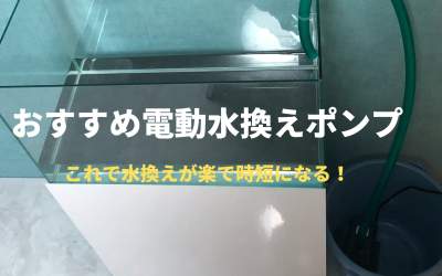 【楽々時短】水槽の電動水換えポンプおすすめ3選！便利な使い方など完全解説！