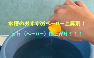 【ph上げる】水槽ph（ペーハー）おすすめ上昇剤３選！効果・注意点・やり方など完全解説！