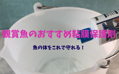 【長生き！】魚のおすすめ粘膜保護剤３選！効果・使い方・注意点など完全解説！